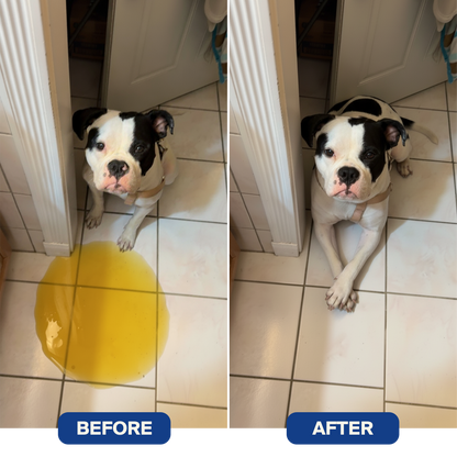 Hounduras® Dog Calming Diffuser