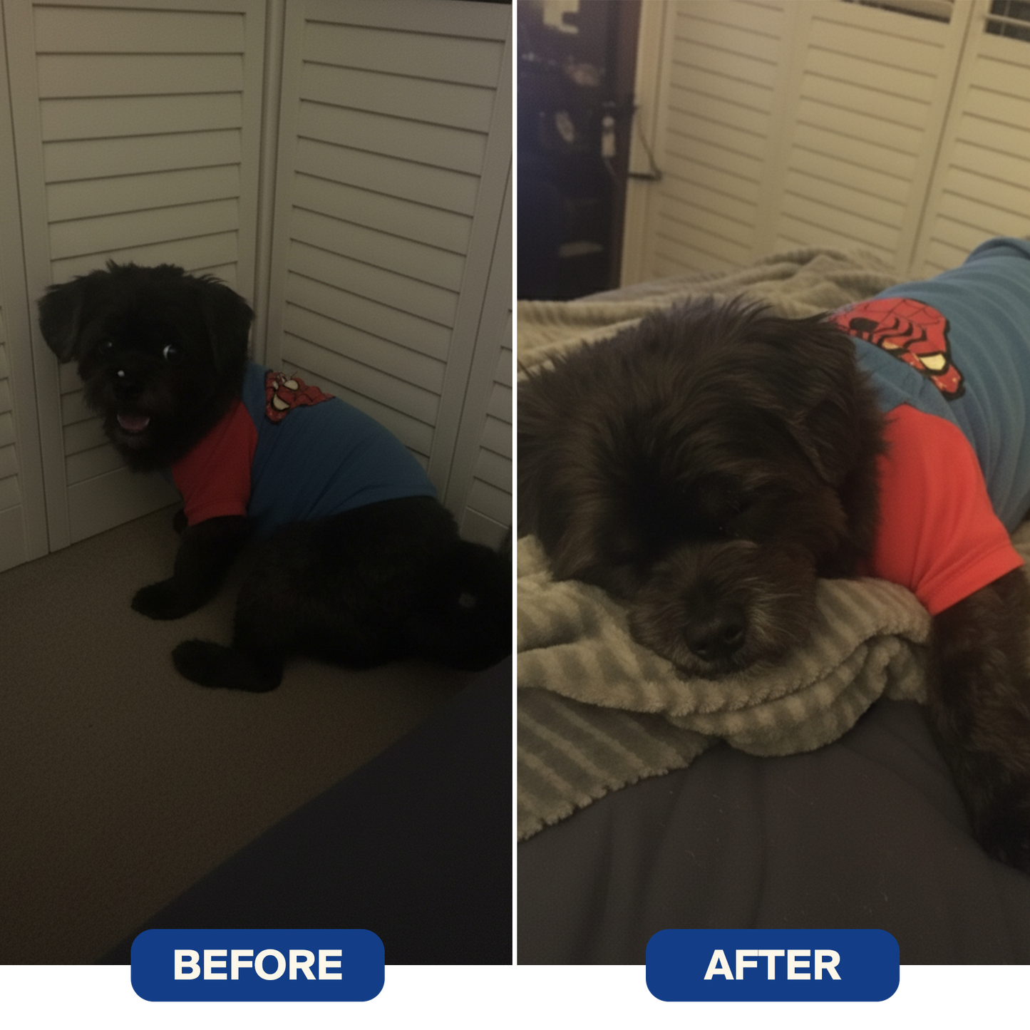 Hounduras® Dog Calming Diffuser