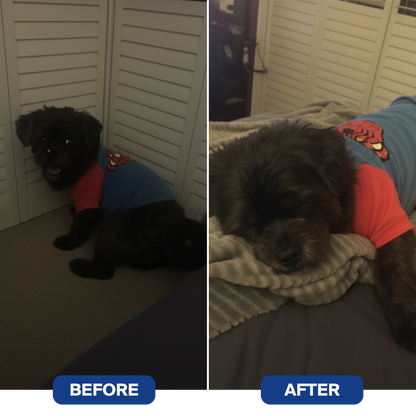 Hounduras® Dog Calming Diffuser